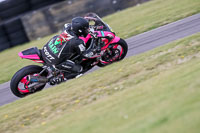 PJ-Motorsport-2019;anglesey-no-limits-trackday;anglesey-photographs;anglesey-trackday-photographs;enduro-digital-images;event-digital-images;eventdigitalimages;no-limits-trackdays;peter-wileman-photography;racing-digital-images;trac-mon;trackday-digital-images;trackday-photos;ty-croes